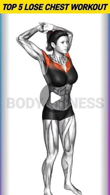 Upper Chest Workout For Women, Chest Exercises For Women Gym, Stretching Standing, Arm And Chest Workout, Arm Exercises Women, Big Chest Workout, Shoulder Workout Women, Chest Exercises For Women, Bust Workout