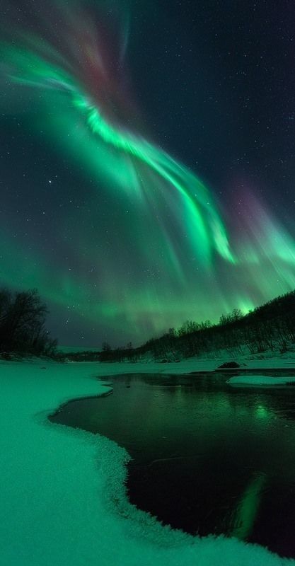 Northern Lights Photography, Warp Speed, Northern Lights (aurora Borealis), Aurora Borealis Northern Lights, Pretty Landscapes, Tromso, The Night Sky, Beautiful Sky, Pretty Places