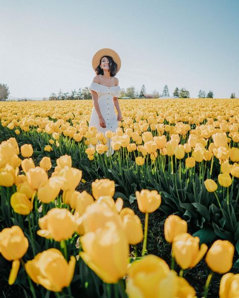 https://styleandsenses.com/the-ultimate-flower-guide-in-the-pacific-northwest-exactly-where-to-find-them/ Photo by An Trieu 〰 Seattle Blogger in RoozenGaarde with @urbanoutfitters, @mejuri, and @sandiegohatcompany. Tulips Photoshoot, Terracotta Makeup, Seattle Travel Guide, Skagit Valley Tulip Festival, Tulip Farm, Official Makeup, Car Icon, Tulip Field, Field Photoshoot