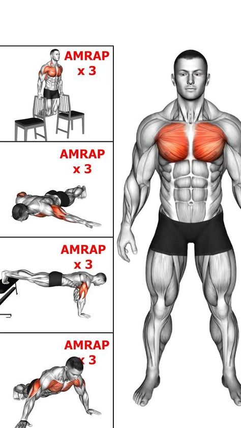 Killer Chest Workout, Chest Workout At Home, Chest Workout Routine, Bodybuilding Workouts Routines, Best Gym Workout, Motivation Sport, Gym Workout Planner, Home Workout Videos, Workouts For Women