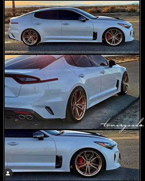 mike myers on Instagram: “Our customers Kia Stinger looks absolutely perfect on @agwheels M632 im 20s. 🔥🔥🔥🔥 Custom polished rose gold finish in custom offsets.…” White Kia Stinger, Kia Stinger Gt Modified, Kia Stinger Gt Custom, Kia Stinger Gt, Kia Ev6 Gt Line, Kia Soul 2016, Sedan Cars, Kia Stinger, Kia Motors