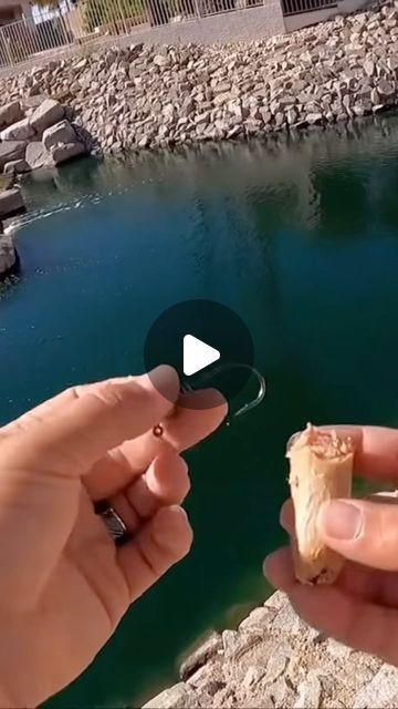 Mark Pickett on Instagram: "How to Catch a Bass on a Hotdog #fishing #bassfishing #arizonafishing" Bass Fishing Videos, Fishing Videos, Bass Fishing, Hot Dogs, Bass, Arizona, Fishing, Fish, On Instagram