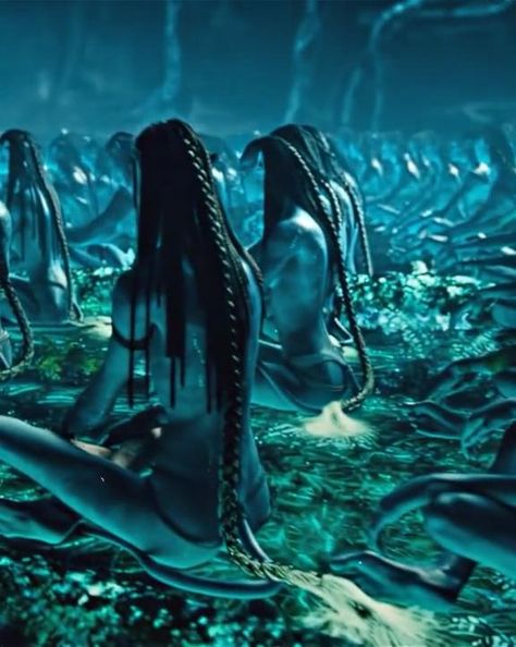 The Way Of The Water Avatar, Avatar Film, Avatar 3, Avatar Poster, Blue People, Avatar Video, Avatar 1, Blue Avatar, Avatar James Cameron