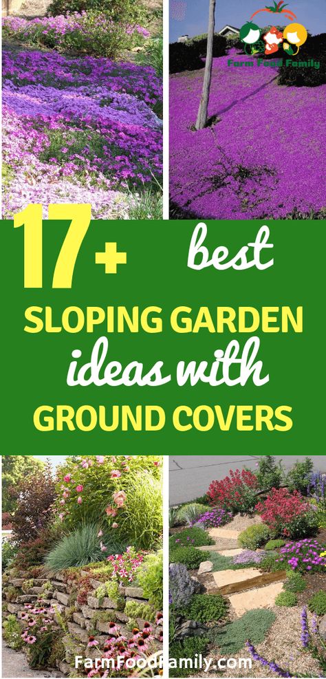 17+ Sloping Garden Ideas with Ground Covers - FarmFoodFamily Sloped Yard Landscaping Ideas, Sloped Yard Landscaping, Sloping Garden Ideas, Side Landscaping, Steep Hillside Landscaping, Sloping Garden, Garden Ground, Sloped Backyard Landscaping, Landscaping A Slope