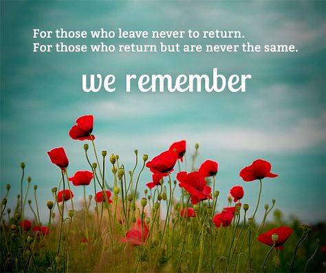 Thank you, veterans. We will never forget. Anzac Day Quotes, Canada Day Images, Remembrance Day Poems, Remembrance Day Pictures, Remembrance Day Quotes, Remembrance Day Posters, Lest We Forget Anzac, Remembrance Day Activities, Seasons Name