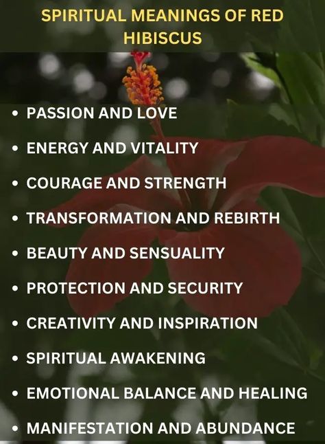 The red hibiscus symbolizes passion, energy, courage, transformation, beauty, protection, creativity, spiritual awakening, emotional balance, and abundance, offering healing and inspiration to all. Hibiscus Symbolism, Hibiscus Spiritual Meaning, Meaning Of Red, Red Meaning, Hibiscus Plant, Red Hibiscus, Inner Growth, Celtic Mythology, Divine Grace