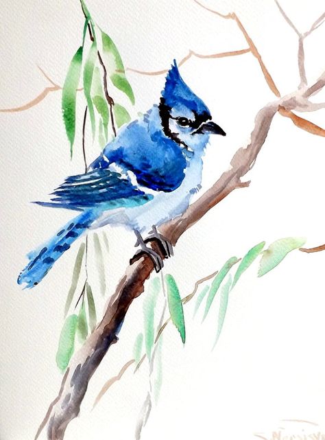 Bluebird Watercolor, Blue Jay Art, Mountain Bluebird, Blue Bird Art, Watercolor Birds, Watercolor Feather, Horse Shoes, Buffet Tables, Green Bird