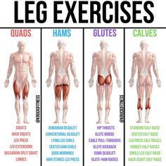 On leg day it seems to become a popular thing to make quads a priority because that the part of the leg that gets shown off the most. So when it comes to hamstrings glutes and calves they're completely left in the dust.-For a solid approach to leg day take this post into account. Pick 1-2 exercises from each part and from there choose your sets and reps. If you want the workout to be strength based work in the 3-8 rep range. Leg Day Exercises, Quad Workout, Lying Leg Curls, Hiit Workout Routine, Glute Kickbacks, Calf Exercises, Hamstring Workout, Gym Workout Chart, Leg Training