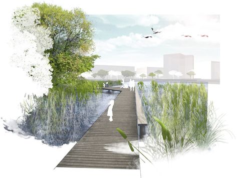 Real green landscape architects · Aspern Seepark · Divisare Architecture Rendering Photoshop, Villa Architecture, Landscape Architecture Graphics, Landscape Architecture Plan, Architecture Portfolio Layout, Architecture Drawing Sketchbooks, Landscape Architecture Drawing, Best Landscape, Architecture Drawing Plan