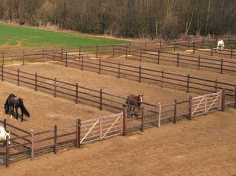 I'd probably put gates on the back to and do a big field back. The small ones could be for new horses or foals. Horse Turnout Paddock, Horse Lot Ideas, Paddocks For Horses, Horse Runs With Shelter, Small Horse Paddock, Foaling Stall Ideas, Small Stable Ideas, Horse Pasture Ideas, Horse Farm Layout