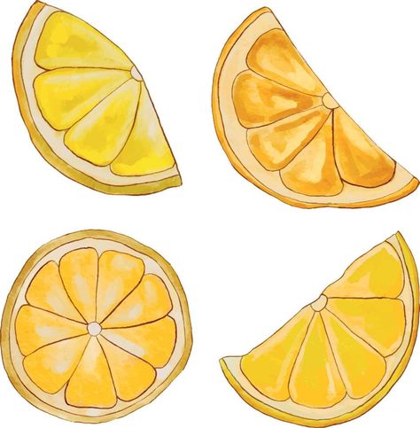 slices of lemon. Watercolor lemons. Lemon watercolor hand draw illustration. Sliced Lemon Drawing, Lemon Slice Drawing, Lemon Logo, Lemon Watercolor, Draw Illustration, Hand Draw, Lemon Slice, Logo Templates, Vector Logo