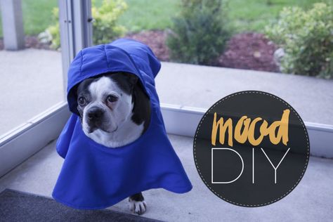 Mood DIY: How to Sew a Puppy Raincoat / Mood Sewciety Raincoat Diy, Dog Raincoat Pattern, Raincoat Pattern, Baby Raincoat, Cheap Raincoats, Sewing Project Ideas, Dog Coat Pattern, Dog Sewing Patterns, Mood Designer Fabrics