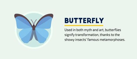 visual symbols and meanings every communicator visual storyteller needs to know butterfly Butterfly Symbolism Meaning, Metamorphosis Meaning, Raven Symbol, Dove Symbol, Owl Symbol, Butterfly Symbolism, Tree Symbol, Lego Pictures, Visual Learning