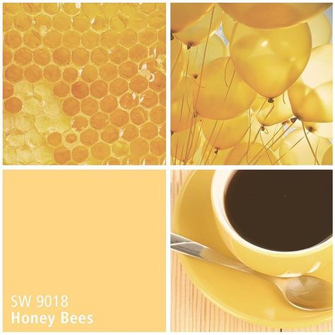 We’re abuzz with excitement over April’s Color of the Month, Honey Bees SW 9018 🐝. #honeybee #yellow #april Yellow Paint Color, Indoor Paint Colors, Exterior Front Door Colors, Basement Paint Colors, Yellow Paint Colors, Siding Colors, Yellow Paint, Yellow Interior, Sherwin Williams Paint Colors