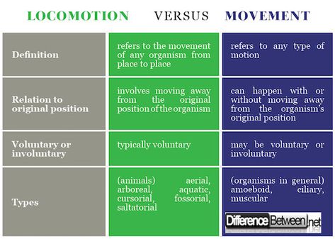 Difference between Locomotion and Movement Locomotion And Movement, English Grammar Rules, 4 Grade, Grammar Rules, Basic Math, English Grammar, Biology, Grammar, Subjects