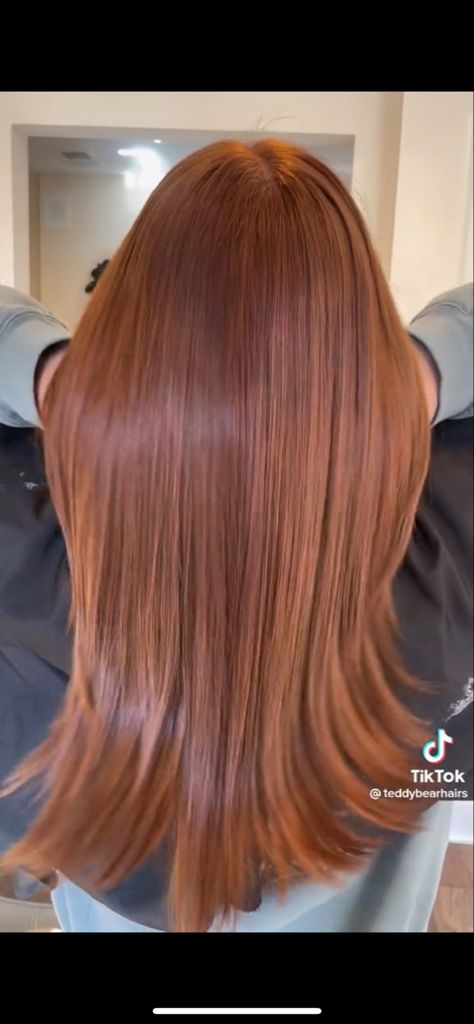 Kristen Ess Hair Gloss Copper Penny, Copper Hair 7-77, Copper With Red Undertones, Toasty Copper Hair Color, Expensive Copper Hair, Kristin Ess, Copper Hair Color, Auburn Hair, Red Hair Color