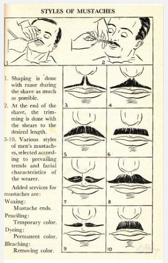 Vintage Guide To Shaving A Mustache (cir. 1930) Facial Shaving, Moustache Style, Barber Man, Shaved Hair Cuts, Barbers Cut, Mustache Styles, Men's Facial Hair, Hair Barber, Vintage Barber