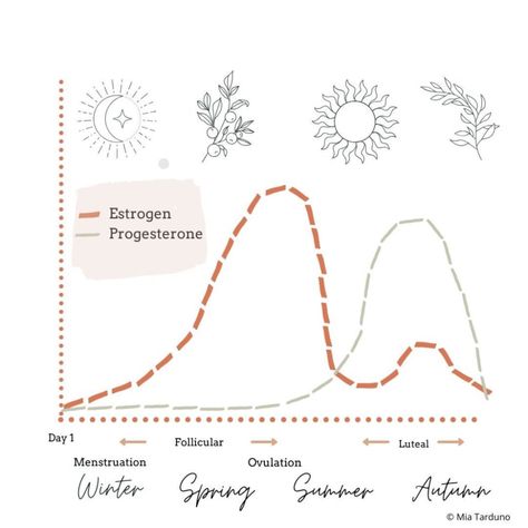 Period Tracking App, Menstruation Cycle, Cycling App, Red Tent, Holistic Health Remedies, Communication Styles, Hormone Levels, Healing Arts, Word Pictures