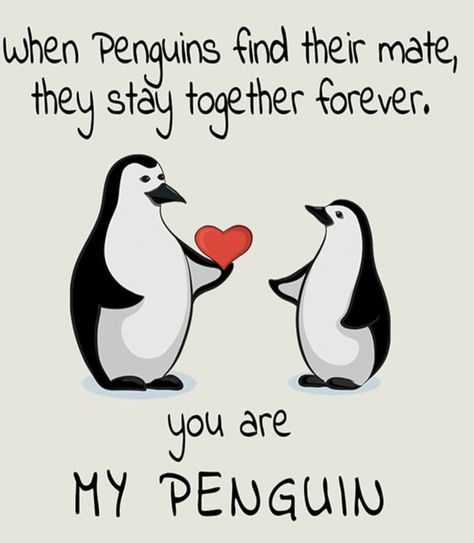 Penguin Phone Wallpaper, Art Competition Ideas, Mini Tattoo, Single Life, Art Competitions, Together Forever, Mini Tattoos, Penguins, Phone Wallpaper