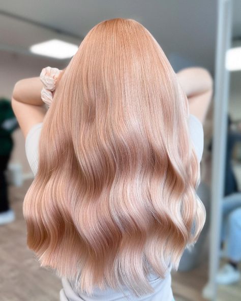 Apricot Hair, Peach Hair Colors, Light Strawberry Blonde, Bob Hair Color, Pink Blonde Hair, Strawberry Blonde Hair Color, Peach Hair, Strawberry Blonde Hair, Beautiful Hair Color