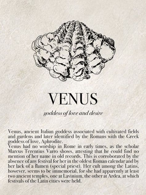 Venus Goddess Of Love, Venus Goddess, Roman Myth, Greece Mythology, Greek Goddesses, Aphrodite Aesthetic, Aphrodite Goddess, Greek Mythology Gods, Roman Gods