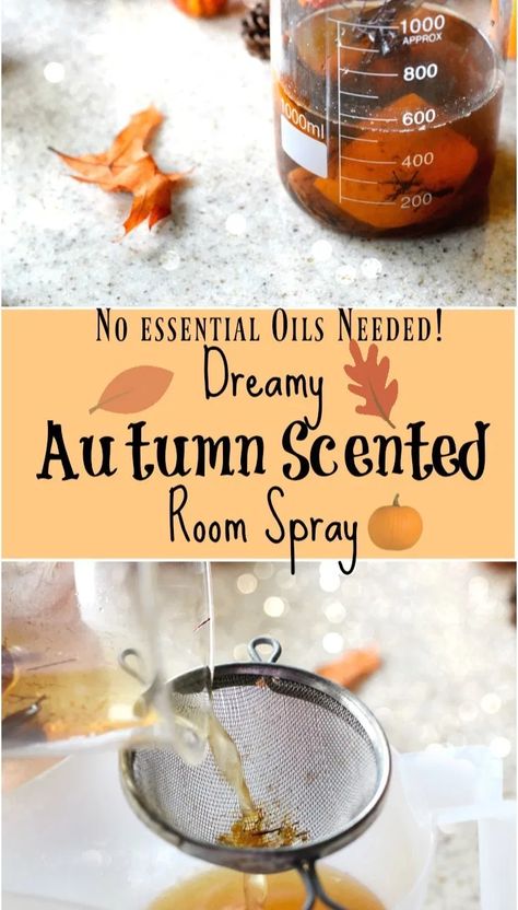 Chemistry Ideas, Diy Room Spray, Natural Room Spray, Autumn Room, Autumn Diy, Homemade Air Freshener, Apples Cinnamon, Easy Fall Wreaths, Smell Goods