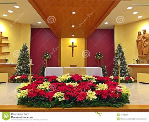 Christmas Altar, Advent Church Decorations, Wedding Chapels, Church Christmas Decorations, Church Altar Decorations, Church Altar, Altar Arrangement, Altar Flowers, Christmas Church