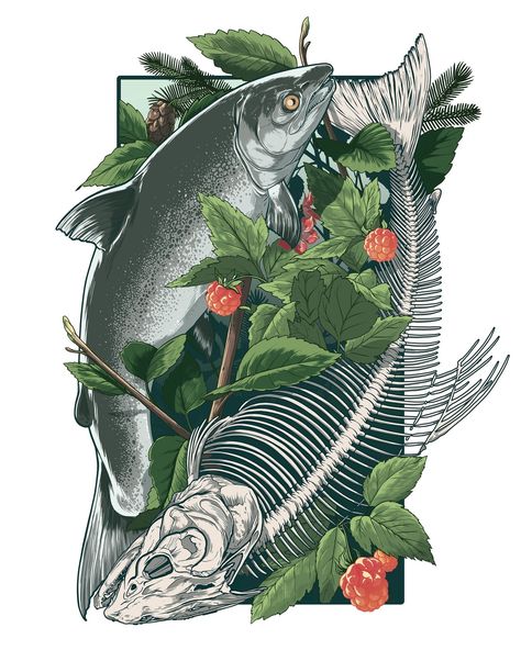 What a difference some colour makes. The full-colour salmon piece is one of the new illustrations for the 2025 calendar. ⁠ ⁠ This piece was such a challenge to illustrate. I'm sure Dave heard more about salmon bones than he ever thought necessary while I was working on it. ⁠ ⁠ #salmon #salmonlifecycle #lineart #natureart #salmonart #wildlifeconservation #oceanconservation #ecologyart #ecoart #fishlifecycle #fishart #wildlifeartist #natureillustrator #oceanlife #oceanart #animalillustration Salmon Pictures, Salmon Illustration, Fish Life Cycle, Salmon Art, Ecology Art, Coho Salmon, Wildlife Artists, Ocean Conservation, 2025 Calendar