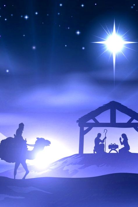 Jesus Born Christmas Wallpaper, Jesus Born Christmas, Jesus Was Born, Nativity Scene Display, Jesus Etc, Matthew 2, Merry Chistmas, Scene Background, Baby Reindeer