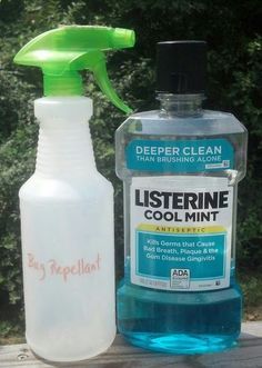 Has anyone tried this? Mosquito Spray. Pinner says: I was at a deck party awhile back, and the bugs were having a ball biting everyone. A man at the party sprayed the lawn and deck floor with Listerine, and the little demons disappeared. The next year I filled a 4-ounce spray bottle and used it around my seat whenever I saw mosquitoes. And voila! That worked as well! Planter Gardens, Listerine Cool Mint, Nyttige Tips, Mosquito Spray, Fly Repellant, Fishing Kit, Natural Pest Control, Bug Spray, Bug Repellent