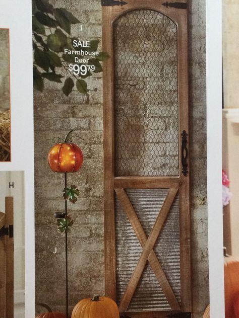 Rustic French Doors, Chicken Wire Door, Metal Shutters, Barn Tin, Corrugated Tin, Outdoor Gate, Farmhouse Pantry, Farmhouse Style Furniture, Barn Siding