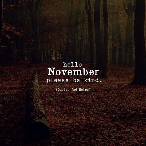 First Of November Quotes, October Poem, Welcome November, November Quotes, Hello November, Quotes And Notes, Mind Body Soul, This Is Us Quotes, Powerful Quotes