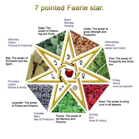 7 pointed star meaning | The seven-pointed star, also known as the Elven Star, or Faerie Star ... Magia Elemental, Pagan Symbols, Spell Book, Book Of Shadows, The Seven, Sacred Geometry, Runes, Reiki, Ritual