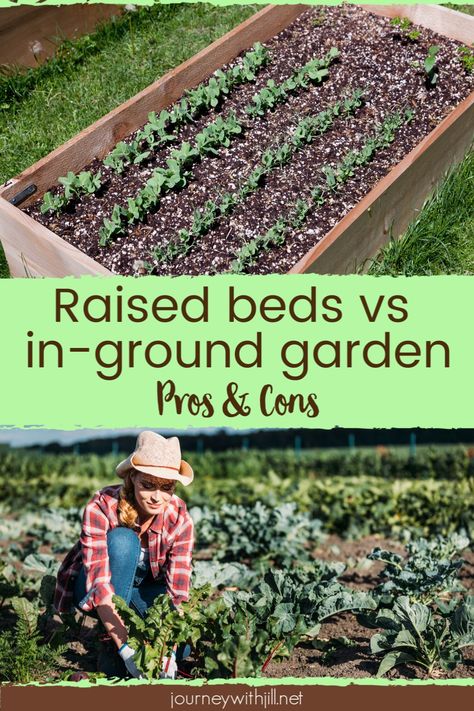 If you're trying to decide between raised garden beds or growing a garden in the ground, here are benefits and drawbacks of each. If you decide to go with raised beds, here are some tips to DIY your own beds from steel as well as growing tips to ensure your success!  #raisedbeds #gardening #gardens Garden In The Ground, In Ground Garden, Raised Garden Beds Irrigation, Growing A Garden, Ground Garden, Vegetable Garden Raised Beds, Building A Raised Garden, Diy Raised Garden, Growing Tips