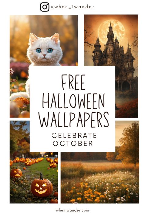 cat, haunted house, pumpkin, autumn flowers free wallpapers Free Halloween Wallpaper Iphone, Halloween Screensavers Iphone Wallpapers, Halloween Wallpaper Backgrounds Desktop, Halloween Screensavers, Haunted Images, Free Halloween Wallpaper, Chic Halloween Decor, Glow Pumpkin, Cute Pumpkins