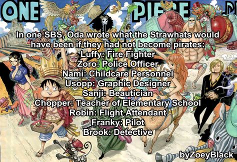 Straw Hat Pirates Crew, Luffy X Zoro, Usopp Nami, One Piece Theories, One Piece New World, Pieces Facts, Anime Facts, Robin One Piece, Zoro Sanji