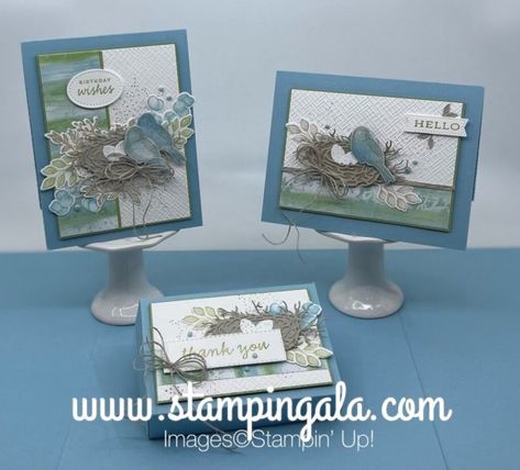 Spring Paper Crafts, Nested Friends, Stampin Gala, Friends Trio, Mini Cat, Summer Cards, Treat Holder, Youtube Live, Bird On Branch