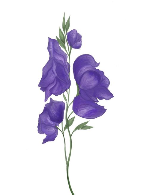 Just a pretty purple flower. The Aconite perennial Aconite Tattoo, Aconite Flower, Flower Inspiration, Pretty Purple, Purple Flower, Percy Jackson, Purple Flowers, Perennials, Tattoo Ideas