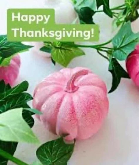 Aka Happy Thanksgiving Images, Aka Happy Thanksgiving, Alpha Kappa Alpha Thanksgiving, Happy Thanksgiving Aka, Happy Thanksgiving Aka Sorors, Aka Jacket, Aka Thanksgiving, Aka Pearls, Aka Shirt