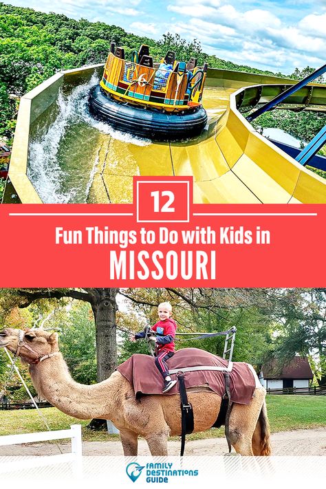 Dreaming about a family vacation to Missouri and looking for things to do? We’re FamilyDestinationsGuide, and we’re here to help: Discover the most fun things to do in Missouri with kids - so you get memories that last a lifetime! #missouri #missourithingstodo #missouriwithkids #missouriactivities What To Do In Missouri, Missouri Bucket List, Branson Missouri Vacation Kids, Things To Do In Branson Missouri, Branson Missouri Vacation Things To Do, Things To Do In Missouri, Camdenton Missouri, Travel Missouri, Branson Missouri Vacation