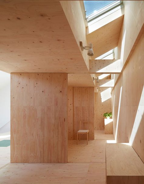 Slope House, Houses In Japan, Plywood Interior, Plywood Walls, Hillside House, Wood Architecture, Modern Cabin, Japanese Architecture, Wood Interiors