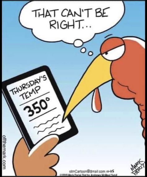 Turkey Memes Funny Hilarious, Funny Turkey Quotes, Turkey Jokes, Turkey Quotes, Turkey Cartoon, Turkey Pie, Thanksgiving Jokes, Funny Turkey, Funny Cartoons Jokes