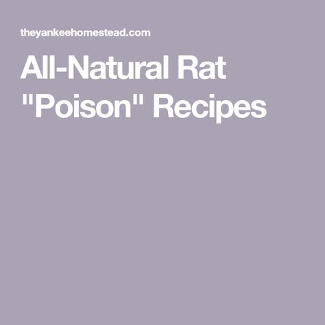 Homemade Rat Poison, Rat Poison, Getting Rid Of Mice, Rat Traps, Instant Oatmeal, 1000 Life Hacks, Waste Management, Yogurt Cups, Education And Training