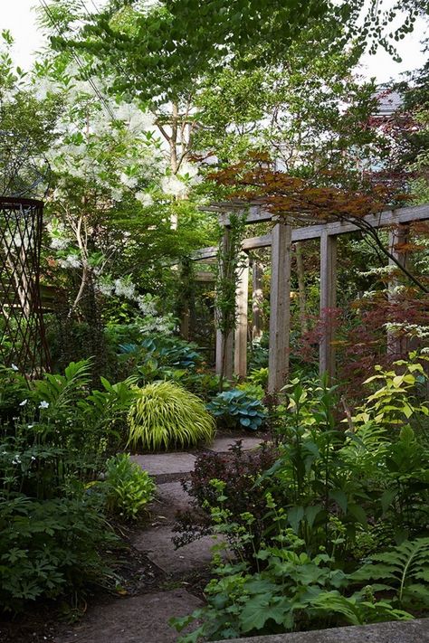 Garden Visit: At Home With Canada’s Favorite Garden Writer Cottage Garden Design, Front Yards, Woodland Garden, Garden Tours, Gorgeous Gardens, Farm Gardens, Country Gardening, Back Garden, Backyards