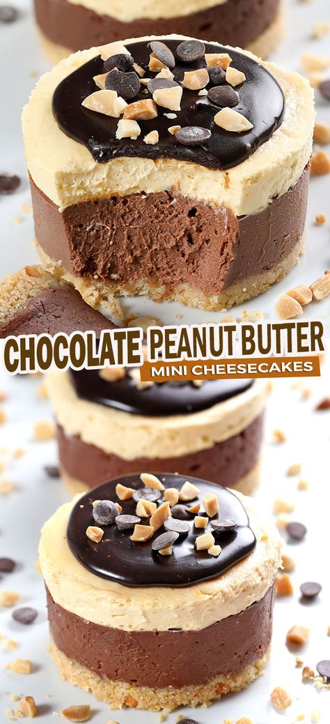 Mini Chocolate Peanut Butter Cheesecakes, Peanut Butter Mini Cheesecakes, No Bake Mini Chocolate Cheesecake, 4" Cheesecake Recipes, Mini Chocolate Peanut Butter Pies, Peanut Butter Pretzel Dessert, Mini Peanut Butter Cheesecake, Peanut Butter Chocolate Cheesecake, Cheesecake Minis