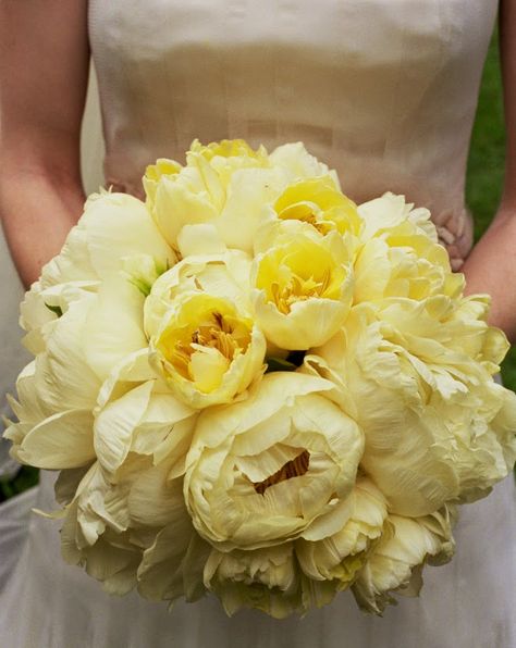 Floral Inspiration: Pretty Peony Bouquets Pale Yellow Weddings, Yellow Peony, Yellow Wedding Inspiration, Bridal Bouquet Peonies, Yellow Peonies, Peony Bouquet Wedding, Yellow Bouquets, Yellow Wedding Flowers, Peony Bouquet