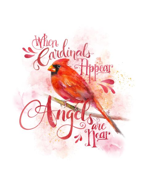 "In times of sadness, this quote often brings peace: \"When Cardinals Appear, Angels are Near\" I've hand-lettered the words in watercolour and added them to my delicate cardinal watercolour print. Would you prefer to download and print this yourself? Here is my listing for the Printable version, which includes the print without the quote, and 2 5x7 greeting card layouts: https://www.etsy.com/ca/listing/950389154 PROMOTIONS: Buy 2, Get 1 ~ purchase any 2 prints, receive a third print of equal or Cardinal Birds Art, Cardinal Watercolor, Cardinal Print, Cardinal Memorial, Cardinal Painting, Dad In Heaven, Heaven Quotes, Cardinal Birds, Red Bird