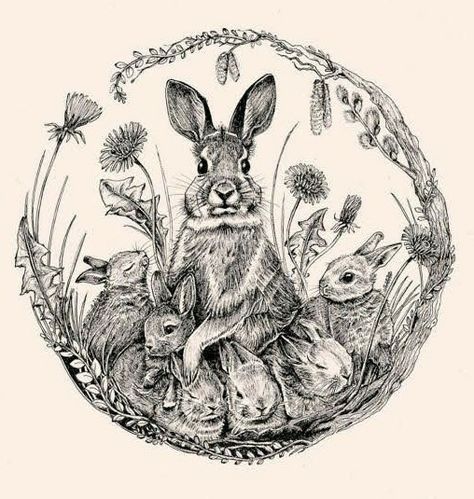 Fineliner Drawing, Spring Printables, Easter Images, Fairytale Illustration, Rabbit Art, Bunny Art, Bunny Rabbits, Easter Printables, Stamping Ideas