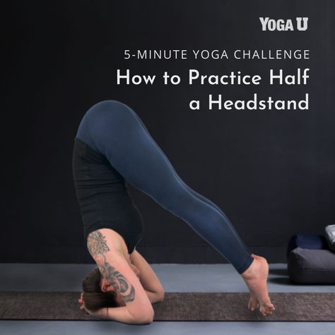 Powerful Poses, Headstand Poses, 5 Minute Yoga, Yoga Headstand, Dolphin Pose, Headstand Yoga, Neck Yoga, Tight Hamstrings, Downward Facing Dog