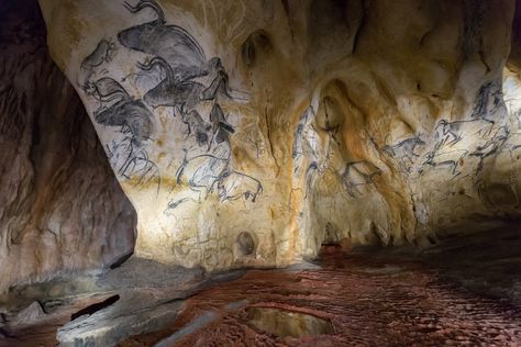 https://flic.kr/p/GYAe72 | Decorated Cave of Pont d’Arc, known as Grotte Chauvet-Pont d’Arc, Ardèche, southern France (Unesco world heritage site) | Wiki: The Chauvet-Pont-d'Arc Cave in the Ardèche department of southern France is a cave that contains the earliest known and best preserved figurative cave paintings in the world, as well as other evidence of Upper Paleolithic life. It is located near the commune of Vallon-Pont-d'Arc on a limestone cliff above the former bed of the Ardèche Rive... Prehistoric Painting, Chauvet Cave, Prehistoric Cave Paintings, Paleolithic Era, Sacred Garden, Woman Sketch, Prehistoric Art, Create Picture, Southern France